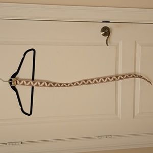 Zimmerman size small belt